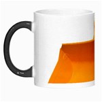 937h 1 955n 2 955n 1 932 1 Morph Mugs