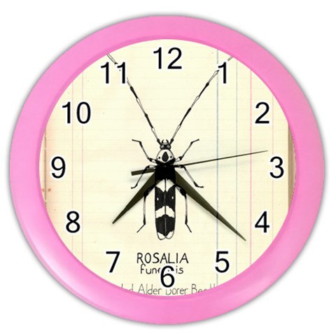 Banded Alder Borer  Color Wall Clock from ArtsNow.com Front