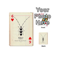 Banded Alder Borer  Playing Cards 54 Designs (Mini) from ArtsNow.com Front - Heart6