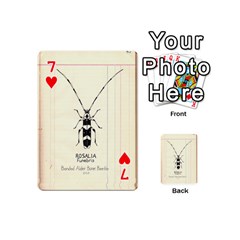 Banded Alder Borer  Playing Cards 54 Designs (Mini) from ArtsNow.com Front - Heart7