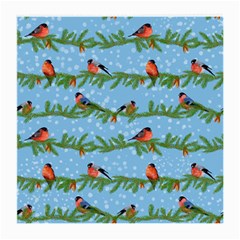 Bullfinches On Spruce Branches Medium Glasses Cloth (2 Sides) from ArtsNow.com Back