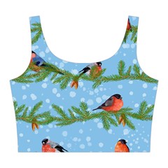 Bullfinches On Spruce Branches Midi Sleeveless Dress from ArtsNow.com Top Front