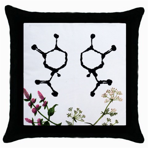 Chirality Throw Pillow Case (Black) from ArtsNow.com Front