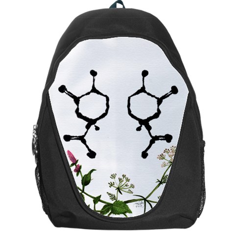Chirality Backpack Bag from ArtsNow.com Front