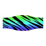Rainbow Tiger Stretchable Headband
