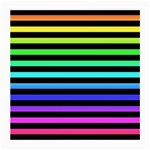 Rainbow Stripes Medium Glasses Cloth (2 Sides)