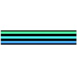 Rainbow Stripes Large Flano Scarf 