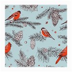 Christmas birds Medium Glasses Cloth