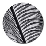 Cycas Leaf The Shadows Round Mousepads