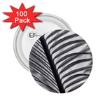 Cycas Leaf The Shadows 2.25  Buttons (100 pack) 