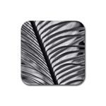 Cycas Leaf The Shadows Rubber Coaster (Square)