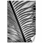 Cycas Leaf The Shadows Canvas 12  x 18 