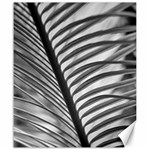 Cycas Leaf The Shadows Canvas 20  x 24 