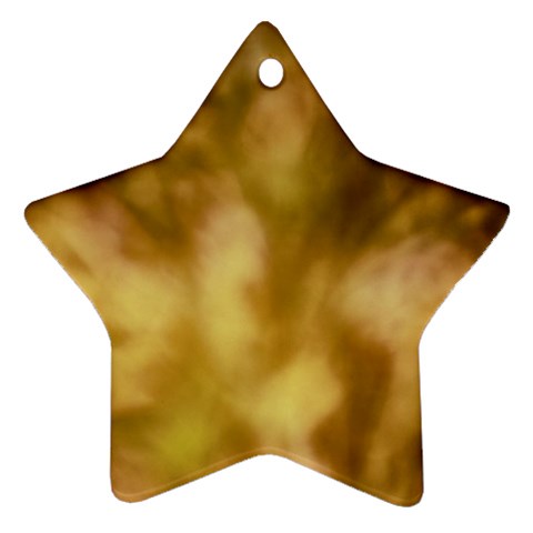 Orange Papyrus Abstract Ornament (Star) from ArtsNow.com Front
