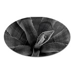 The Agave Heart Oval Magnet