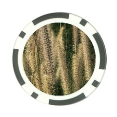Fountain Grass Under The Sun Poker Chip Card Guard from ArtsNow.com Front