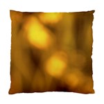 Orange Vibrant Abstract Standard Cushion Case (One Side)