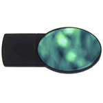 Green Vibrant Abstract USB Flash Drive Oval (4 GB)