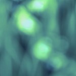 Green Vibrant Abstract Magic Photo Cube