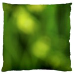 Green Vibrant Abstract No3 Large Cushion Case (Two Sides)