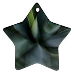 The Agave Heart In Motion Ornament (Star)