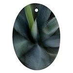 The Agave Heart In Motion Oval Ornament (Two Sides)
