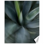 The Agave Heart In Motion Canvas 16  x 20 