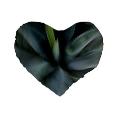 The Agave Heart In Motion Standard 16  Premium Heart Shape Cushions from ArtsNow.com Front