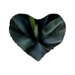The Agave Heart In Motion Standard 16  Premium Flano Heart Shape Cushions