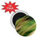 Color Motion Under The Light 1.75  Magnets (10 pack) 