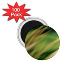 Color Motion Under The Light 1.75  Magnets (100 pack) 