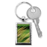 Color Motion Under The Light Key Chain (Rectangle)