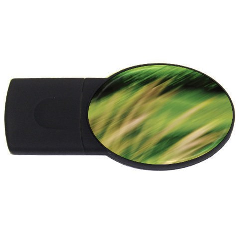 Color Motion Under The Light USB Flash Drive Oval (2 GB) from ArtsNow.com Front