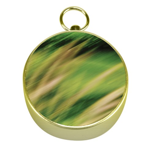 Color Motion Under The Light Gold Compasses from ArtsNow.com Front