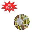 Stars On The Sand 1  Mini Buttons (10 pack) 