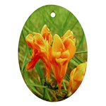 Orange On The Green Ornament (Oval)