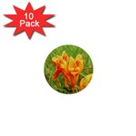 Orange On The Green 1  Mini Buttons (10 pack) 