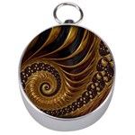Shell Fractal In Brown Silver Compasses