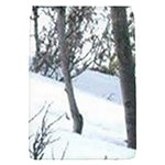 winter forest Removable Flap Cover (S)