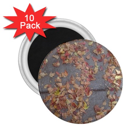 Sidewalk Leaves 2.25  Magnets (10 pack)  from ArtsNow.com Front