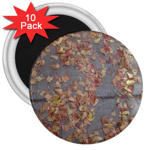 Sidewalk Leaves 3  Magnets (10 pack)  from ArtsNow.com Front