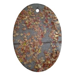 Sidewalk Leaves Oval Ornament (Two Sides) from ArtsNow.com Front