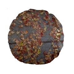 Sidewalk Leaves Standard 15  Premium Round Cushions from ArtsNow.com Front