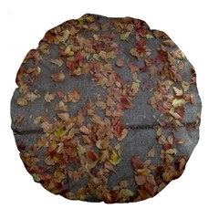 Sidewalk Leaves Large 18  Premium Round Cushions from ArtsNow.com Back