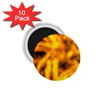 Golden Abstract Stars 1.75  Magnets (10 pack) 