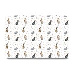 Cute Rabbit Plate Mats