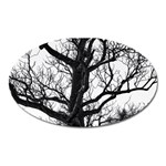 Shadows in the sky Oval Magnet