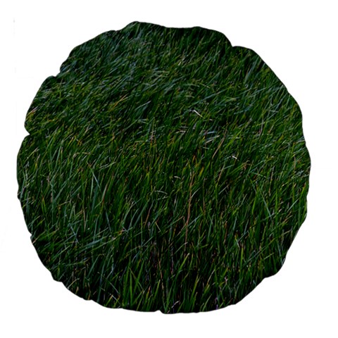 Green carpet Large 18  Premium Round Cushions from ArtsNow.com Front