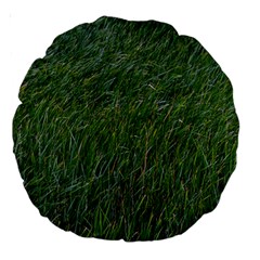 Green carpet Large 18  Premium Round Cushions from ArtsNow.com Back