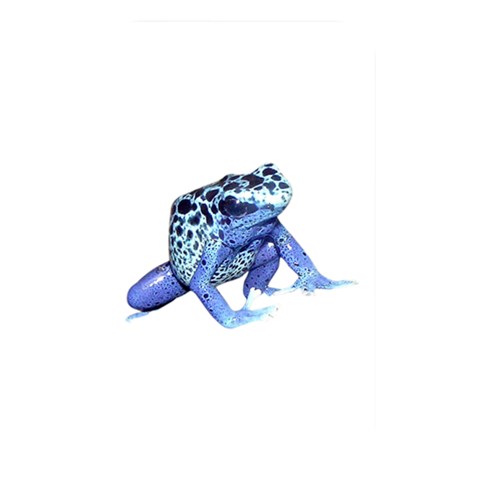 Blue Front